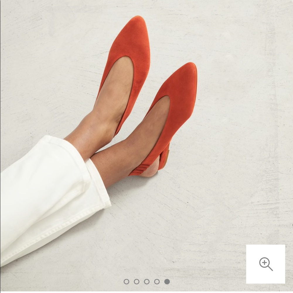 Everlane V slingback flats